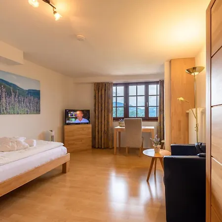 坦奈霍夫莱科斯酒店 萨巴赫瓦登