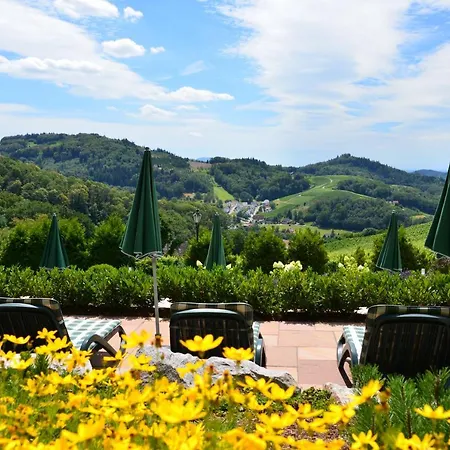 坦奈霍夫莱科斯酒店 酒店 萨巴赫瓦登