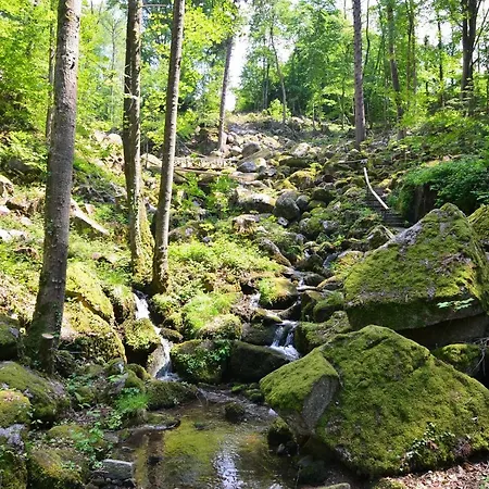 酒店 坦奈霍夫莱科斯酒店 3*