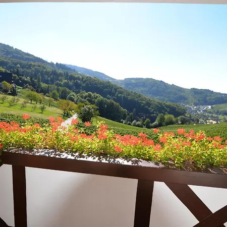 坦奈霍夫莱科斯酒店 酒店 3*