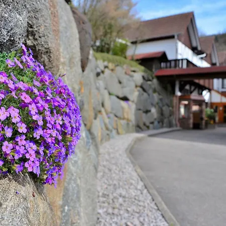 坦奈霍夫莱科斯酒店