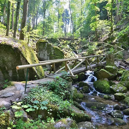 Relaxhotel Tannenhof Ξενοδοχείο 3*