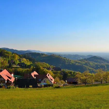 坦奈霍夫莱科斯酒店 3*