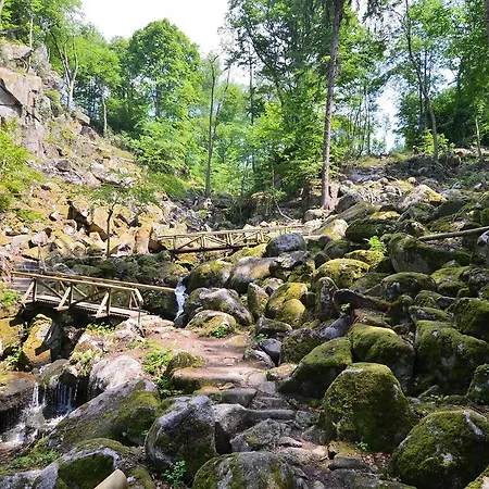 坦奈霍夫莱科斯酒店 酒店