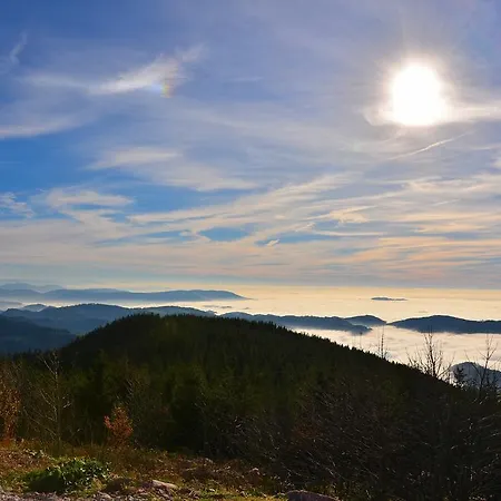 坦奈霍夫莱科斯酒店 3*