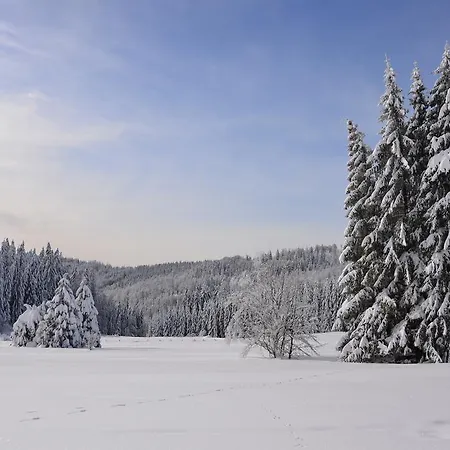 坦奈霍夫莱科斯酒店 酒店 3*