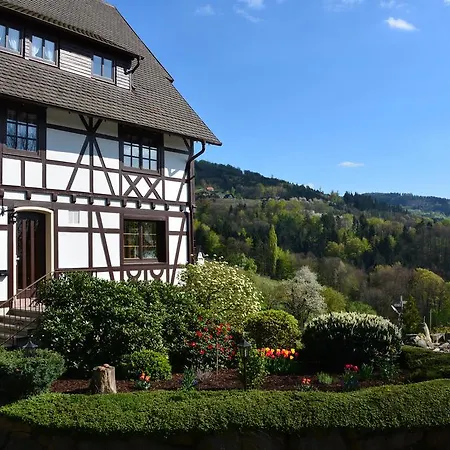 坦奈霍夫莱科斯酒店 萨巴赫瓦登