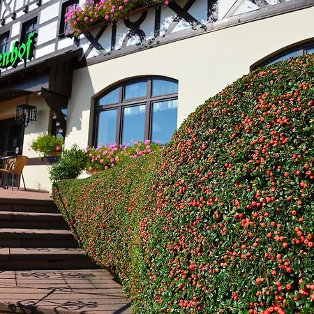 Ξενοδοχείο Relaxhotel Tannenhof 3*