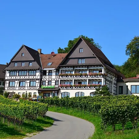 坦奈霍夫莱科斯酒店 萨巴赫瓦登