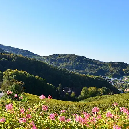 酒店 坦奈霍夫莱科斯酒店