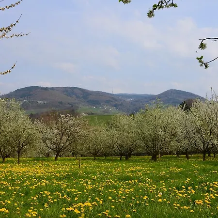 坦奈霍夫莱科斯酒店 酒店 萨巴赫瓦登
