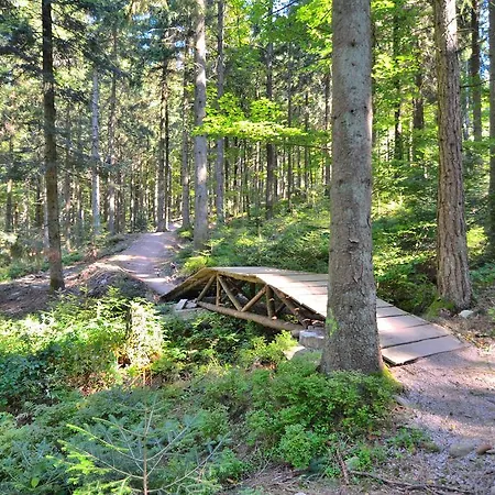 坦奈霍夫莱科斯酒店 酒店