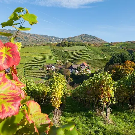 酒店 坦奈霍夫莱科斯酒店