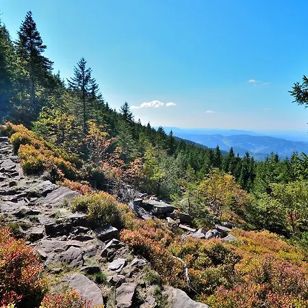 坦奈霍夫莱科斯酒店 酒店 萨巴赫瓦登