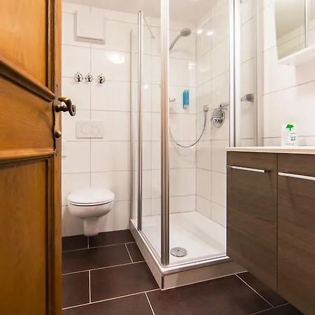 酒店 坦奈霍夫莱科斯酒店 萨巴赫瓦登