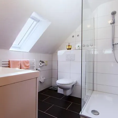 坦奈霍夫莱科斯酒店 萨巴赫瓦登