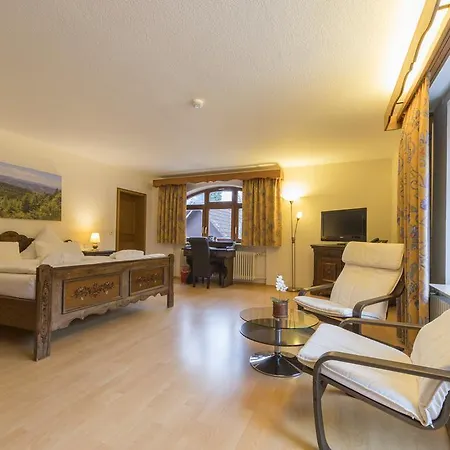 坦奈霍夫莱科斯酒店 酒店 萨巴赫瓦登