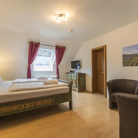 坦奈霍夫莱科斯酒店 酒店 萨巴赫瓦登