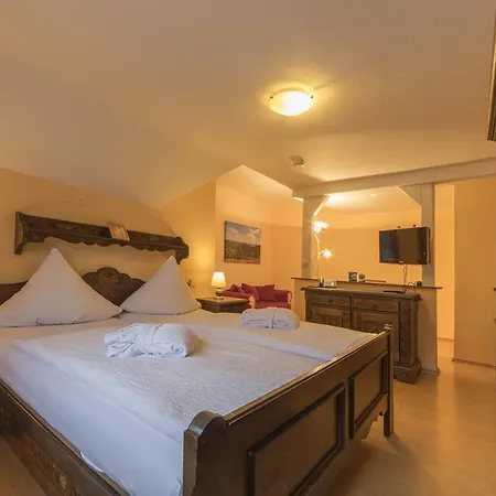 酒店 坦奈霍夫莱科斯酒店 3*